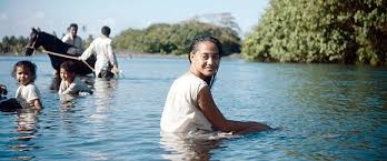 In 1891, paris is left by the painter paul gauguin and travels to tahiti to renew his art as a person, definately not the european conventionalism. Filmbulletin Gauguin Voyage De Tahiti