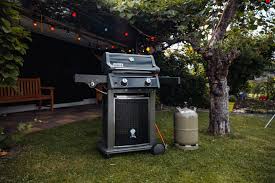 While the grill is heating, lay the salmon skin side down on a cutting board and cut it crosswise into 4 equal pieces. Den Richtigen Grill Finden Ratgeber Mit Video Obi