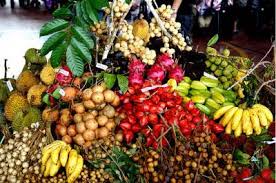 Ramai orang menganggap durian sebagai buah yang sedap, ia dipanggil raja buah oleh penduduk tempatan. Buah Buahan Tropika Yang Bermusim Baik Untuk Kesihatan Baca