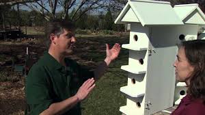 Purple Martin Houses Youtube When the house is out of contact with the roof all of the entrances are closed by gates actuated by springs, the gates moving upward to close. purple martin houses