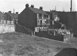 Frog Hollow In Surry Hills Sydney Year Unknown Slums Australia History Surry Hills