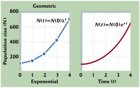 Models Of Population Growth Geometric And Exponential Flashcards Quizlet