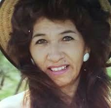 Who is the owner of the lost dog found in Copper Hills?