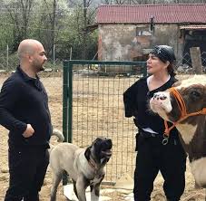 Sebnem Degim Adli Kullanicinin Sezen Aksu Panosundaki Pin