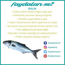 Balik Faydalari Nelerdir Balik Beslenme Saglikli Yasam Tarzi Saglikli Yasam