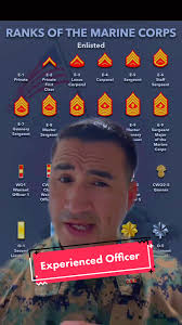 #stitch with @pog_actual_1169 #greenscreen #usmc #Marines #fy #cwo  #militarylife #miltokcommunity #leadership #military #marineofficers #fyp  #veteran