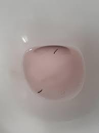 It was definitely a worm, it crawled from the bottom of it would wiggle furiously when i threw in toilet paper. What Are These Black Worms In Urinal They Move Around And Live Whatisthisthing