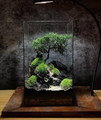Treebeautiful Beautiful Layout Layout Scape Scape Moss Moss Treemoss Tree Scape Layout Aquarium Garden Aquarium Landscape Aquascape