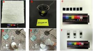 Image result for Aeollanthus myrianthus