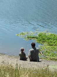Dogs are also able to use this trail but must be kept on leash. Walking At Riverfront Park Walking In Sonoma County Mostly