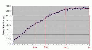 Airedale Puppy Weight Chart Goldenacresdogs Com