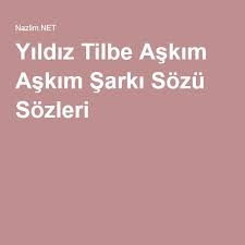 Sarki Sozleri Panosundaki Pin