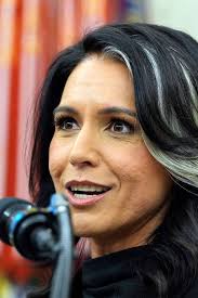 Trump determined to reveal alleged 2016 election sabotage, Williams asserts