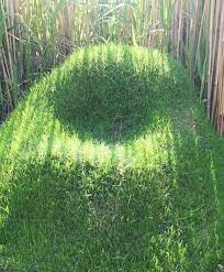 7 Examples Of Living Furniture Terra Grass Armchair Mnn Mother Nature Netw Garden Inspiration Living Furniture Grass
