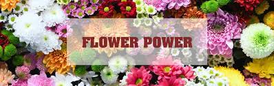 At bremerton city nursery we have a garden club for our friends who want to be informed of new plants, products, educational classes, fun workshops and upcoming events. Silverdale Bremerton Florist Shops Flowers Delivery Wa Williams Flowers William S Flowers