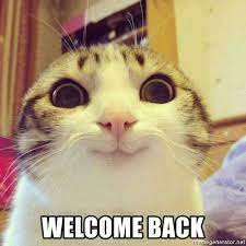 Cute duck with flower says welcome back we missed you. Welcome Back Funny Cat Meme Generator