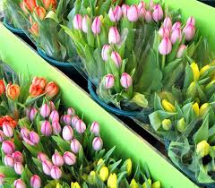 Little Luxuries Fresh Flowers A Beautiful Journey Beautiful Flowers Fresh Flowers