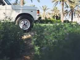Image result for Arctic White 1980 Land Rover