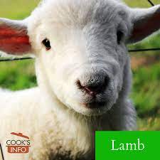 Lamb Cooksinfo