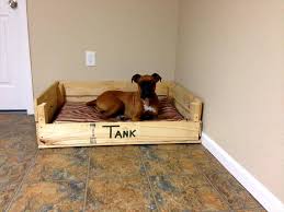 You can build just about anything out of the pallets if they are clean and free of pests. 40 Diy Pallet Dog Bed Ideas Laptrinhx