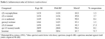 Image result for Malaxis maclaudii