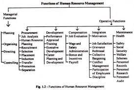 Functions Of Human Resource Management Human Resources Human Resource Management Human Resource Development