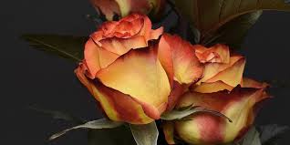 Maybe you would like to learn more about one of these? Baudelaire On Beauty Love Prostitutes And Modernity