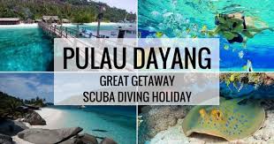 #mersing #pulau #johor #pghiburxhambar musim2 monsoon ni mesti korang rindu pulau. Pulau Dayang The Island That You Never Knew Existed In Johor