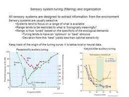 Sensory System Tuning Filtering And Organization All Sensory Systems Are Designed To Extract Information From The Environment Sensory Systems Are Us Fisiologia