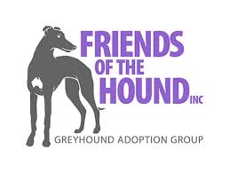 Greyhounds as pets, sydney, australia. Available Greyhounds Friends Of The Hound