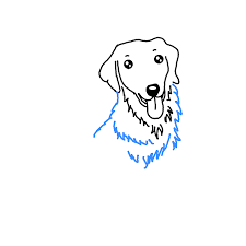 Use curved lines to sketch in details around the guide lines. How To Draw A Golden Retriever Step By Step Easy Drawing Guides Drawing Howtos