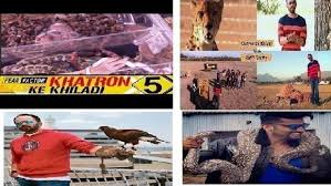 Petition No Stunts With Any Non Human Living Beings In Fear Factor Khatron Ke Khiladi On Colors Change Org Khatron ke khiladi s10 tejaswini malishka have an argument. fear factor khatron ke khiladi