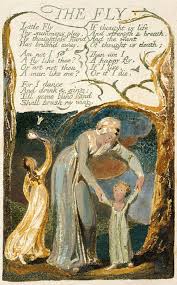 Esperanza Spalding Performs William Blake S Short Existential Poem The Fly Blake Poetry William Blake Poems William Blake Art