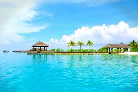 And forget house whites or house rules: Maldives Holidays Resort And Coconut Trees Free Photos