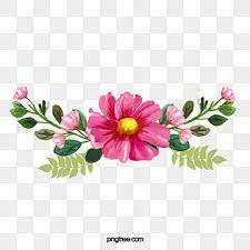 Chinese Red Flowers Vector China Element Flowers Png Transparent Clipart Image And Psd File For Free Download In 2021 Flower Png Images Flower Graphic Watercolor Flowers