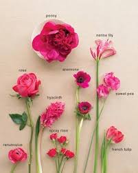 Wedding Colors Fuchsia And Taupe Flower Guide Flower Names Fuchsia Flowers