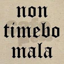 Cras Amet Qui Numquam Amavit Quique Amavit Cras Amet Non Timebo Mala I Will Fear No Evil Latin Quotes Latin Phrases Tattoo Quotes