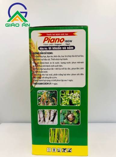 Piano 18EW