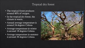Tropical Dry Forest Climate Chart Monsoon Climate