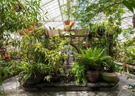 Maybe you would like to learn more about one of these? Inside San Francisco Golden Gate Park S Conservatory Of Flowers Curbed Sf