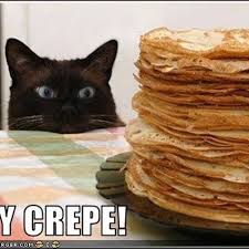 Image result for lolcats