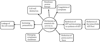 • when it comes to insect control, oils. Role Of Essential Oils In Food Safety Antimicrobial And Antioxidant Applications Sciencedirect