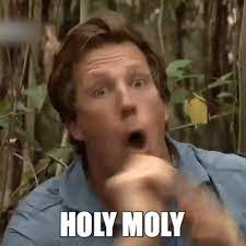 Freek vonk is een mooie man ok. Holymoly Gifs Get The Best Gif On Giphy