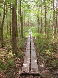 Campers will need to obtain a pass card with a $20 refundable deposit. Grand Isle State Park Trail Finder