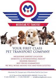 When migrating to australia with your pet dogs or cats, you may need to arrange for a specialist pet transport company to arrange all the paperwork, and flights etc. Moorholme Pet Transport Home Facebook