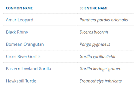 Select name from user order by 'b'. Top 10 Questions And Answers About Sql Server Indexes