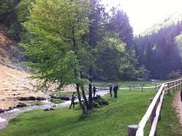 Dalghiu, valea zizinului, tarlungeni, sacele, brasov. Cascada Urlatoarea Din Vama Buzaului