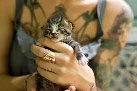 During the first few weeks of life, a kitten's primary concerns are feeding, keeping warm, developing social skills and learning how to excrete on his own. 10 Crucial Steps To Take To Save An Abandoned Newborn Kitten