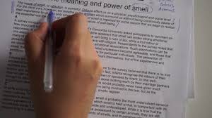 11 that other island was manhattan, which is how new amsterdam became new york. Reading Test Ielts Cambridge Book 8 11 Ielts Sharing Community