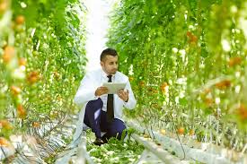 Successful candidates will have related experience and strong problem solving skills. 27 High Paying Jobs Perfect For People Who Don T Want To Sit At A Desk